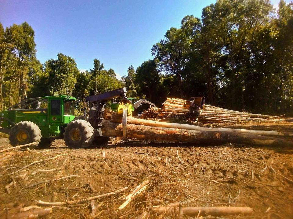 loading trees